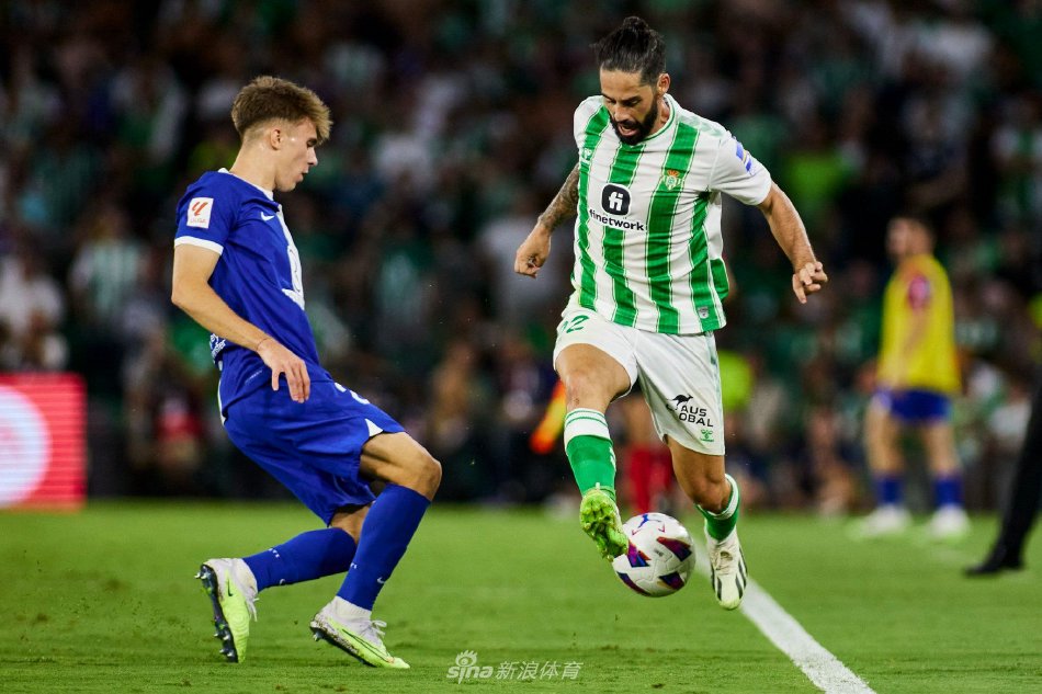 核心的领导 核心的领导